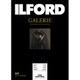 GALERIE Gold Fibre Pearl（ゴールドファイバーパール） A3 25枚 433206