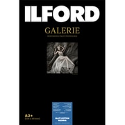 GALERIE Matt Cotton Medina（マットコットンメディナ） A3+ 25枚 433241