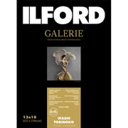 GALERIE WashiTorinoko 127x178 50枚 422170