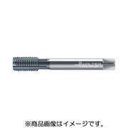 E2136416-M12X1 [プロトティップ マシンタップ]