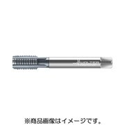 E2136466-M12X1 [プロトティップ マシンタップ]