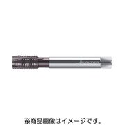 プロトティップ マシンタップ EP2126302-M12X1