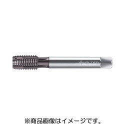 プロトティップ マシンタップ EP2126342-M12X1.25
