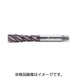 EP2156312-M12X1.25 [プロトティップ マシンタップ]