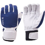 FLEX GLOVE G81802P NB XLサイズ [スキーグローブ]