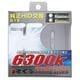 RGH-RB63D1 [純正交換HIDバルブ D1S 6300K]