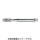 P20509-M2.5 [プロトティップ マシンタップ]
