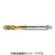 P20519-M2.6 [プロトティップ マシンタップ]