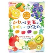 かわごと果実のかわいいのどあめ 65g
