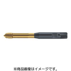 プロトティップ 転造タップ S2061305-M10