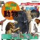 MOVE 動物おりがみ 36507