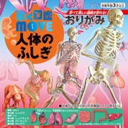 MOVE 人体のふしぎおりがみ 36510