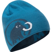 Mammut Logo Beanie 1191-04891 wing teal-sapphire [スポーツウェアアクセサリ ビーニー]