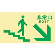 068049 [緑十字 高輝度蓄光避難誘導標識 非常口(階段右下) 130×230 都条例適合品]