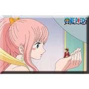 ONEP-554634OP トレジャー！マグネット ルフィ・しらほし姫 [キャラクターグッズ]