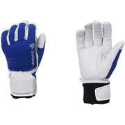 フレックスグローブ Flex Glove G81903P ラピスラズリ(LP) Mサイズ [スキー グローブ]