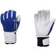 フレックスグローブ Flex Glove G81903P ラピスラズリ(LP) XLサイズ [スキー グローブ]
