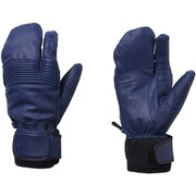 Leather 3-FInger FormfIttIng Glove G81902P ネイビー(N) Sサイズ [スキー グローブ]