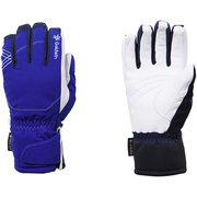 W's GTX Glove M ソニックBU [スキーグローブ レディース]