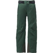 Tellus Pants G31922P （EG）セダーグリーン Lサイズ [スキーウェア パンツ メンズ]