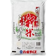 精米 特別栽培米 熊本県産コシヒカリ 5kg 令和6年産