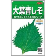 大葉青しそ 1袋