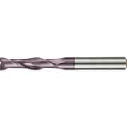 グーリング 2枚刃エンドミル ロングFIREコート 14mm 3021