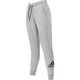 FWS78 DX7966 W MH ビッグロゴ スウェットパンツ レディース Mグレイヘザー J/L [レディース パンツ]