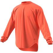 FYK30 ED1987 M S2S ビッグワーディング長袖Tシャツ ハイレゾコーラル F19 J/M [メンズ 長袖Tシャツ]