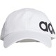 GDJ08 ED0319 ビッグリニアベースボールキャップ WHT/WHT/BLK OSFL [キャップ]
