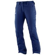 JP ICEGLORY PANT W Wisteria Navy L39113400 Wisteria Navy Lサイズ [スキーウェア パンツ レディース]