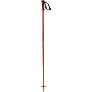 ARCTIC L40559100 Orange 110cm 2本セット [スキー ストック 一般]