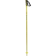 ARCTIC L40559200 Yellow 120cm 2本セット [スキー ストック 一般]