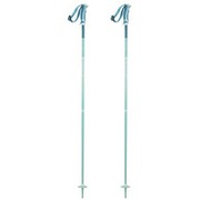 ARCTIC LADY L40560500 Blue 100cm 2本セット [スキー ストック レディース]