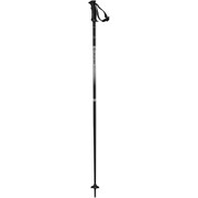 NORTHPOLE LADY L40560100 Black 110cm 2本セット [スキー ストック レディース]