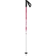 BRIGADE JR L40827800 95cm 2本セット [スキー ストック ジュニア]