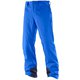 JP ICEMANIA PANT M L39883700 Surf The Web XLサイズ [スキーウェア パンツ メンズ]