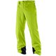 JP ICEMANIA PANT M L39884100 Acid Lime Mサイズ [スキーウェア パンツ メンズ]