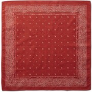 プリントバンダナ Print Bandana NN21803 （SG）スカーレットセージ [アウトドア 小物]