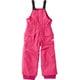 NPJ61753 SCOOP BIB BT 100 100 BT [アウトドア パンツ]