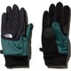 ヌプシイーチップグローブ Nuptse Etip Glove NN61815  （BD）ボタニカルガーデングリーン Mサイズ [アウトドア グローブ]