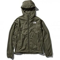 the north face swallowtail hoodie