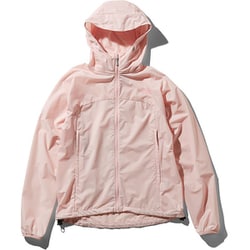 the north face swallowtail hoodie
