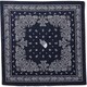 ペイズリーバンダナ Paisley Bandana NN21903 （N）ネイビー [アウトドア 小物]