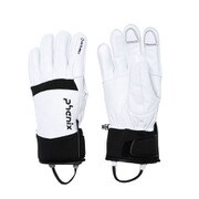 DELTA Leather Gloves L WT [グローブ・ミット]