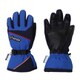 Demonstration Boys Gloves PS8G8GL82 ブルー2 JSサイズ [スキーグローブ ジュニア]