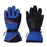 Demonstration Boys Gloves PS8G8GL82 ブルー2 JSサイズ [スキーグローブ ジュニア]