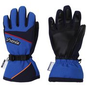 Demonstration  Boy s Gloves PS8G8GL82 BL2 JLサイズ [スキーグローブ ジュニア]