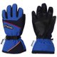 Demonstration Boy s Gloves PS8G8GL82 BL2 JMサイズ [スキーグローブ ジュニア]