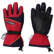 Demonstration Boys Gloves PS8G8GL82 DR JLサイズ [スキー グローブ ジュニア]